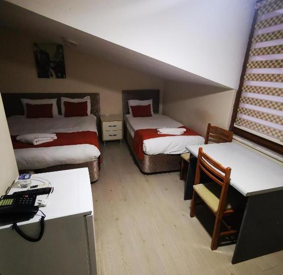 غرفة قياسية ثلاثية, Ador Troia