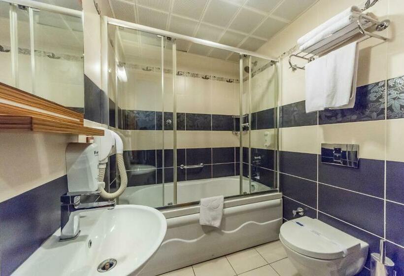 غرفة قياسية فردية, Almina Park