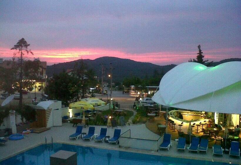 اتاق استاندارد, Ant Apart