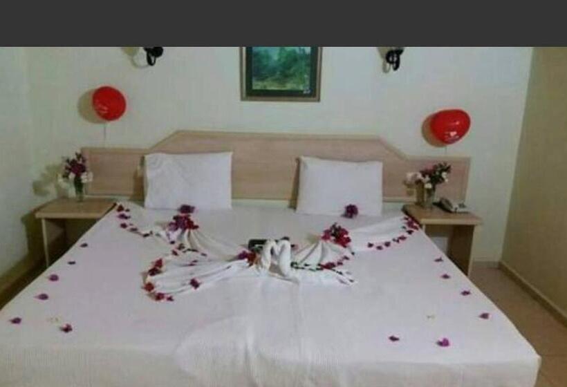 آپارتمان 1 خوابه, Ant Apart