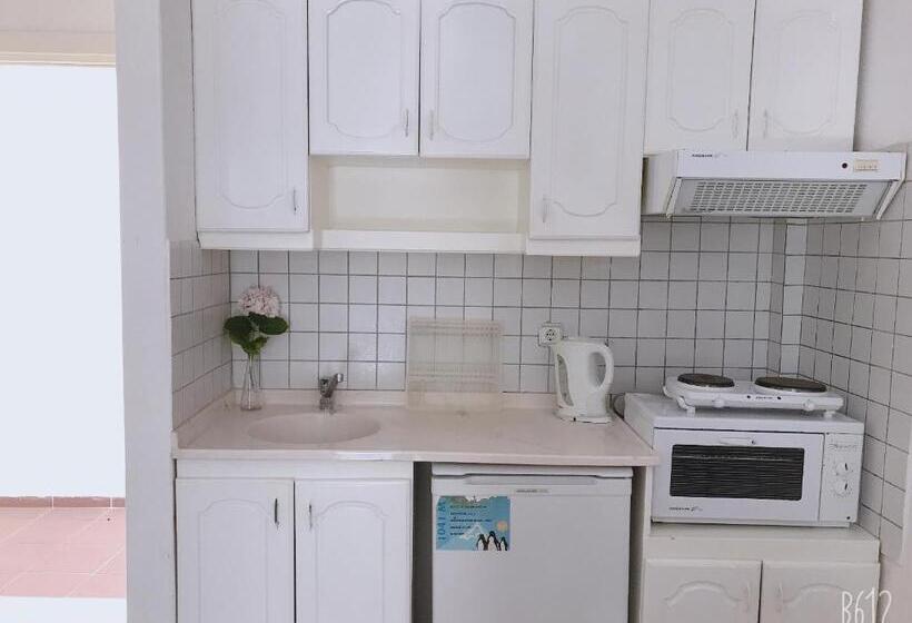 آپارتمان 1 خوابه, Ant Apart