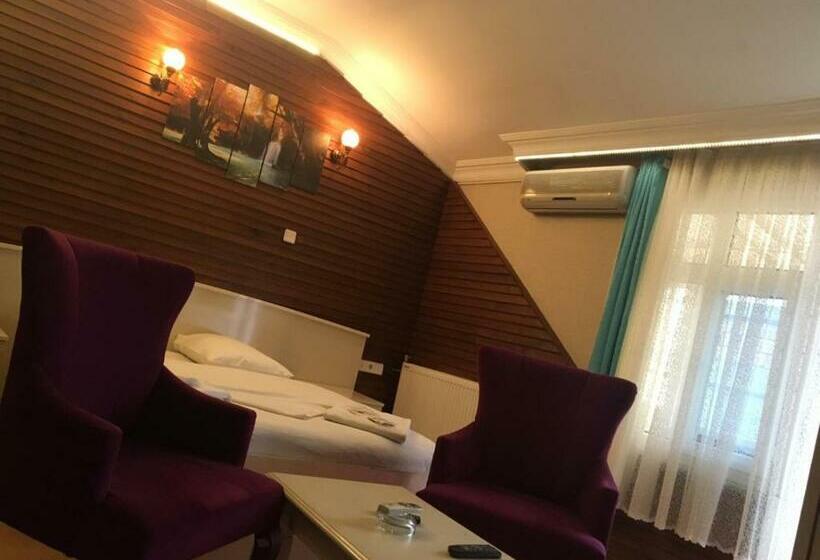 اتاق استاندارد سه نفره, Bordo