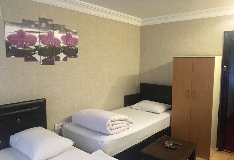 اتاق استاندارد سه نفره, Bordo