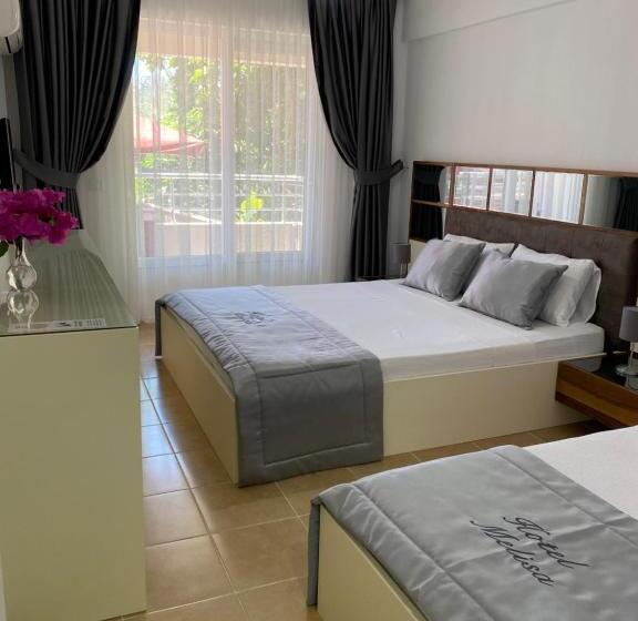 غرفة قياسية مطلّة علي الحديقة, Melisa