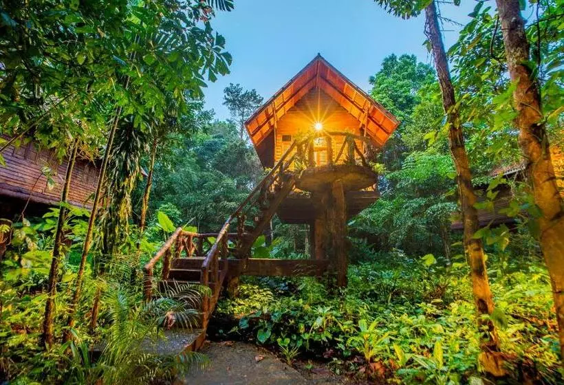 Standard-huone Parveke, Art S Riverview Lodge