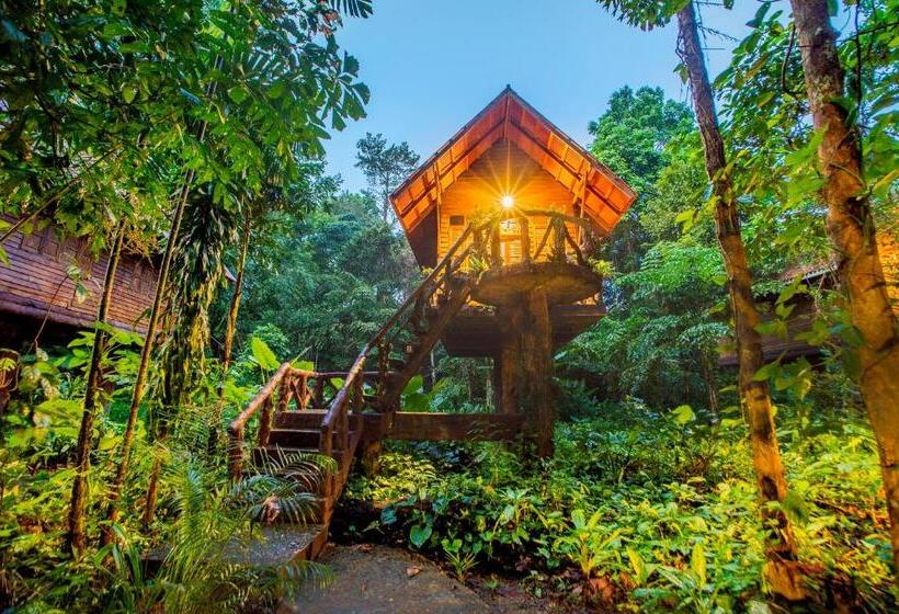 スタンダードトリプルルーム, Art S Riverview Lodge