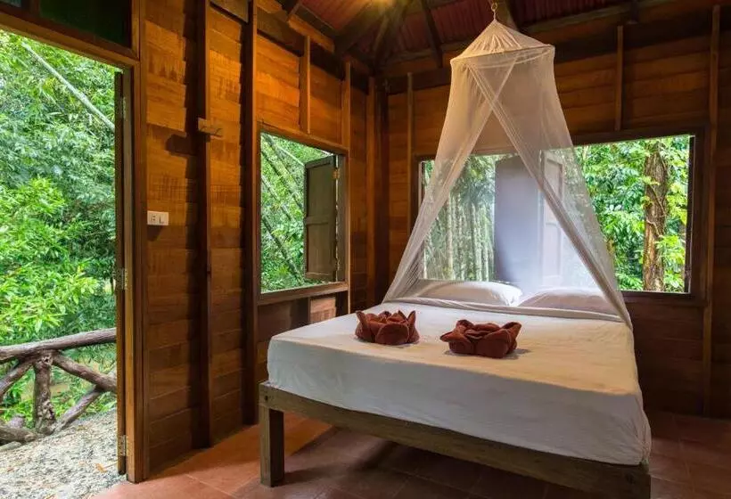 Basic-huone, Art S Riverview Lodge