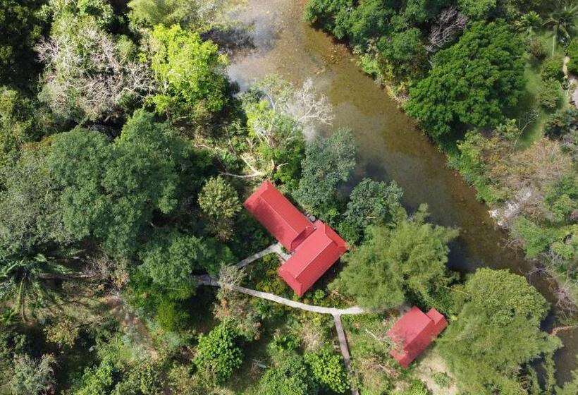 غرفة ديلوكس, Art S Riverview Lodge