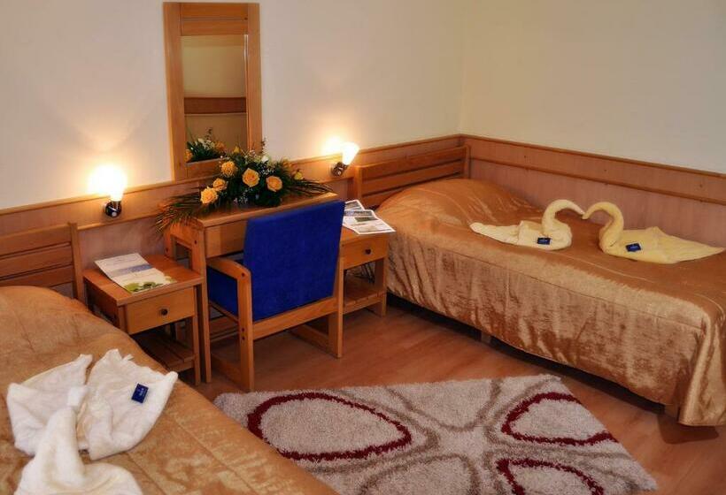 اتاق استاندارد, Medical And Spa Centre Merkur