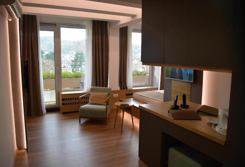 اتاق استاندارد, Medical And Spa Centre Merkur