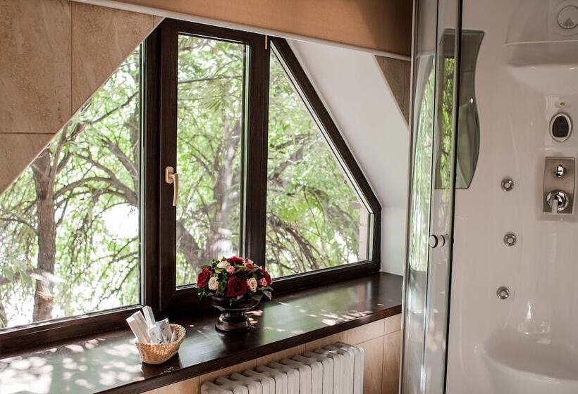 اتاق کلاس بیزنس, Plaza Boutique