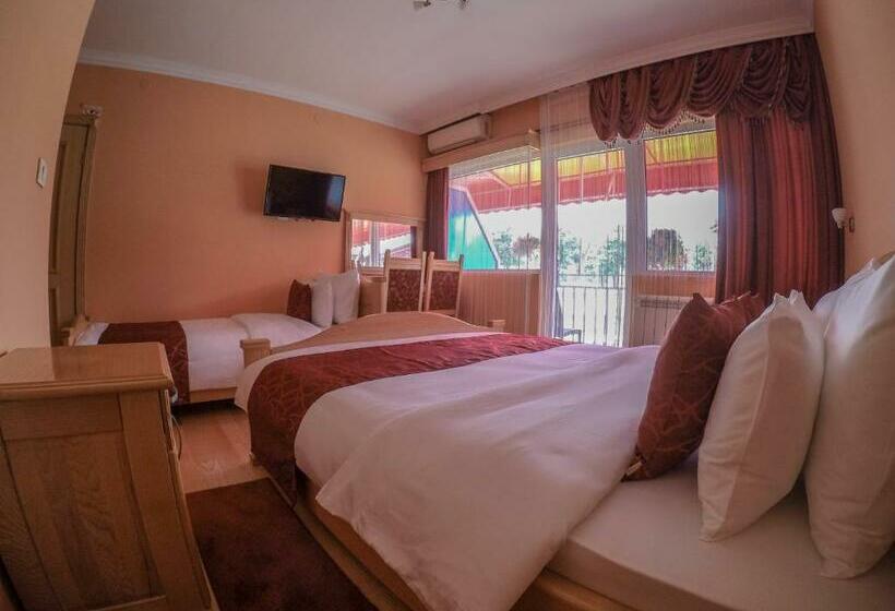 اتاق استاندارد سه نفره, Saint Paul Accommodation