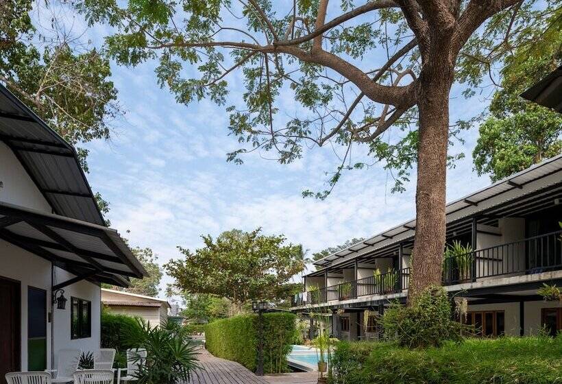 غرفة قياسية, The Stage, Koh Chang