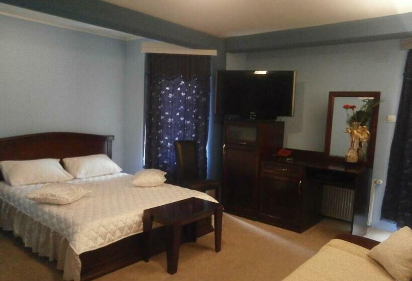 اتاق راحتی, Vila Mitic Luxx Spa Centar