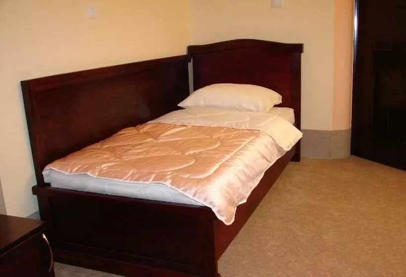 اتاق استاندارد یک نفره, Vila Mitic Luxx Spa Centar