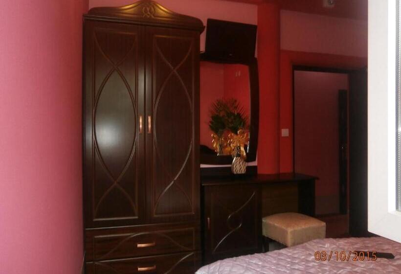 اتاق استاندارد یک نفره, Vila Mitic Luxx Spa Centar