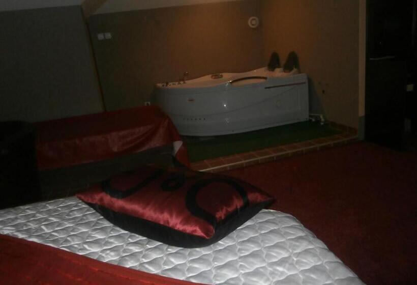 استودیوی لوکس, Vila Mitic Luxx Spa Centar