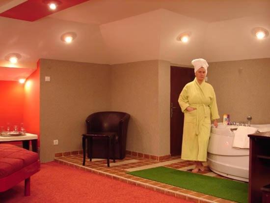 استودیوی لوکس, Vila Mitic Luxx Spa Centar