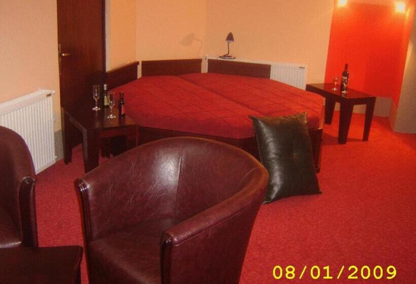 سوئیت پرزیدنت, Vila Mitic Luxx Spa Centar