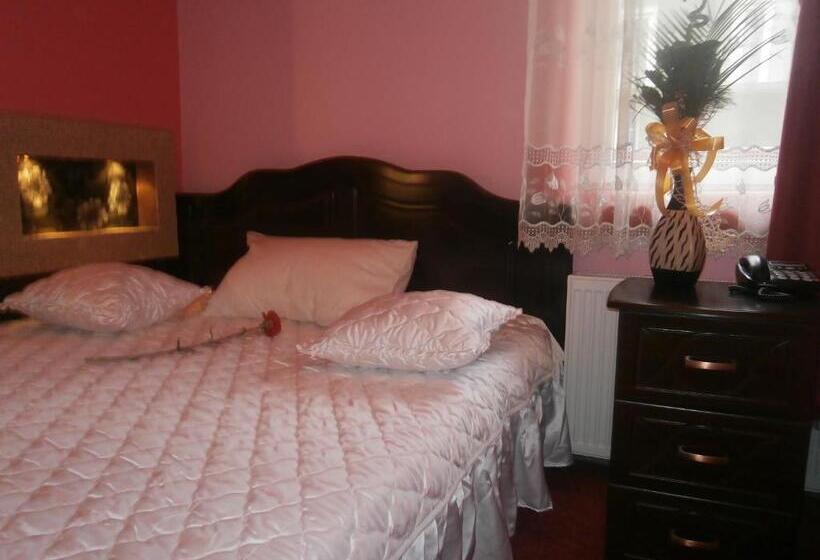 اتاق استاندارد, Vila Mitic Luxx Spa Centar