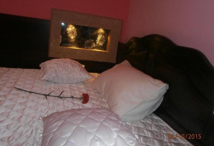 اتاق استاندارد, Vila Mitic Luxx Spa Centar