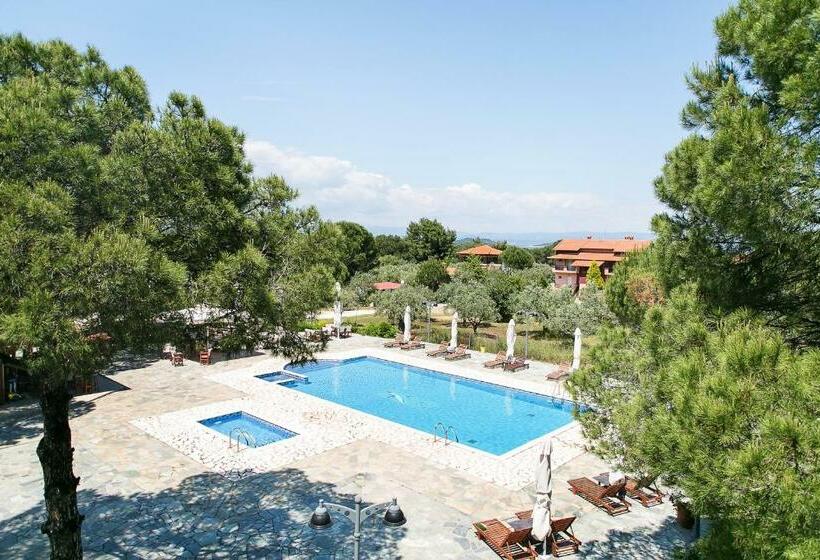 Студия Стандарт, Alexandros Hotel Apartments
