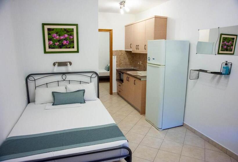 Апартаменты 1 Спальня, Alexandros Hotel Apartments