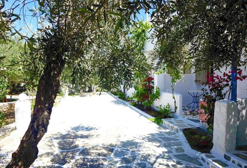 بنجلو قياسى, Amaryllis Beach