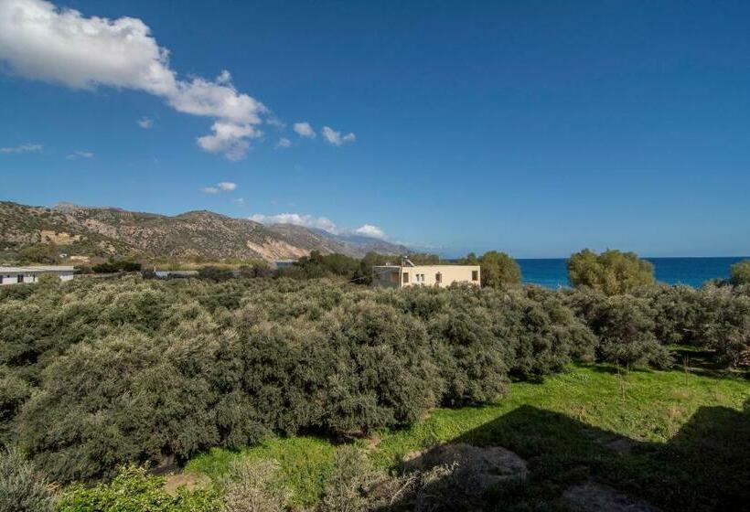 이코노미 룸, Oriental Bay