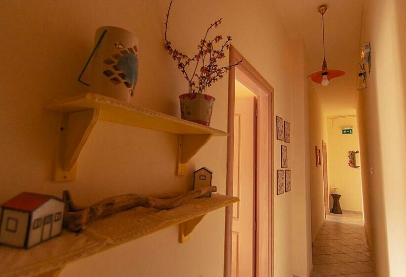 이코노미 룸, Oriental Bay