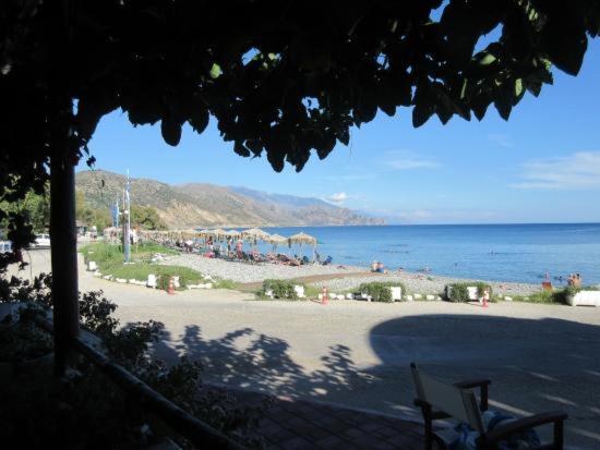 이코노미 룸, Oriental Bay