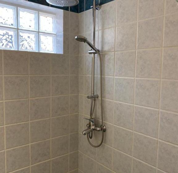 استودیو خانوادگی, Pension Hirolakas