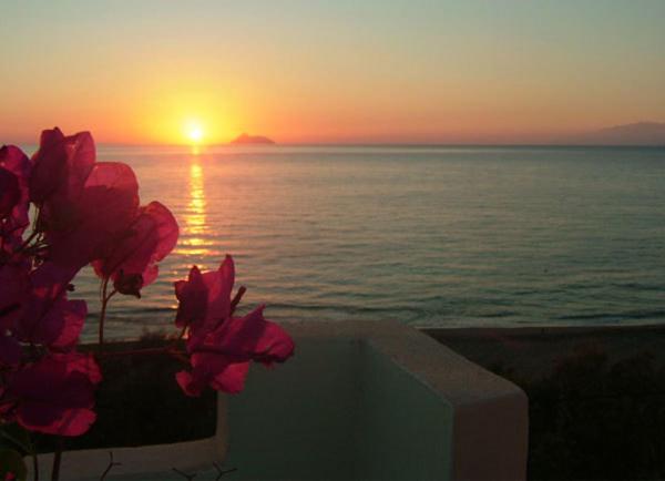 غرفة قياسية فردية, Alexander Beach