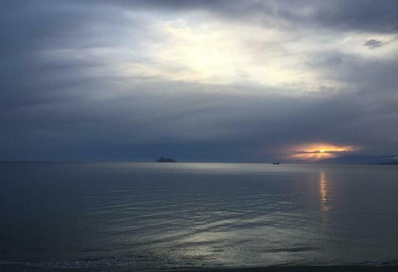 غرفة قياسية فردية, Alexander Beach