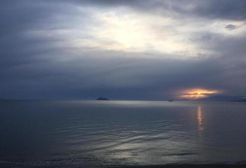 غرفة قياسية رباعية, Alexander Beach