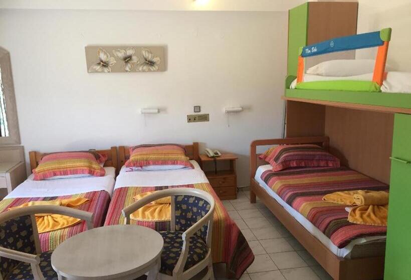 غرفة قياسية رباعية, Alexander Beach