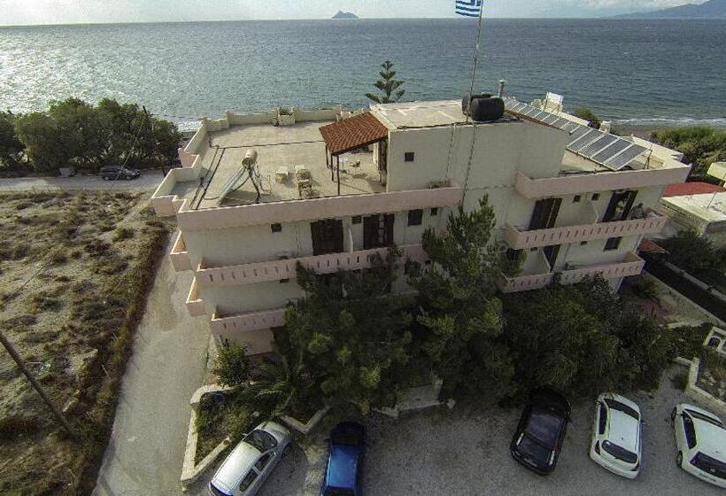 غرفة قياسية رباعية, Alexander Beach