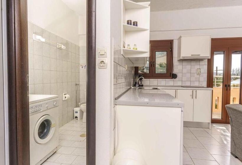 شقة غرفة واحدة مطلة على البحر, Alexander Beach