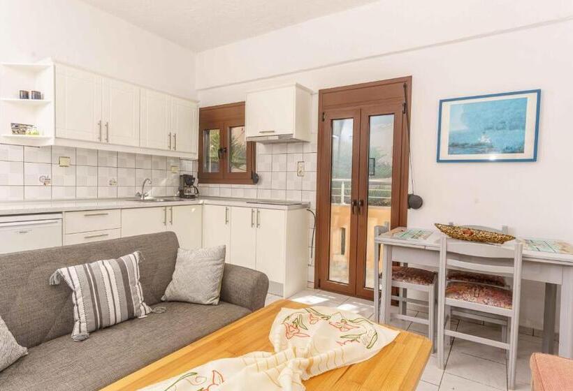 شقة غرفة واحدة مطلة على البحر, Alexander Beach