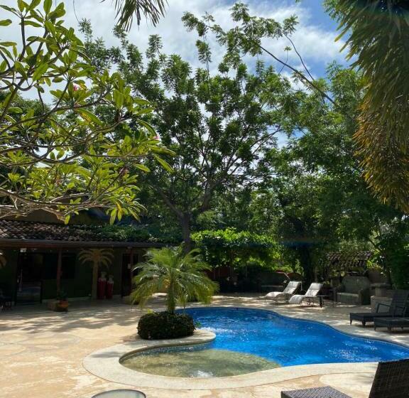 스탠다드 스튜디오, Casas Del Toro Playa Flamingo