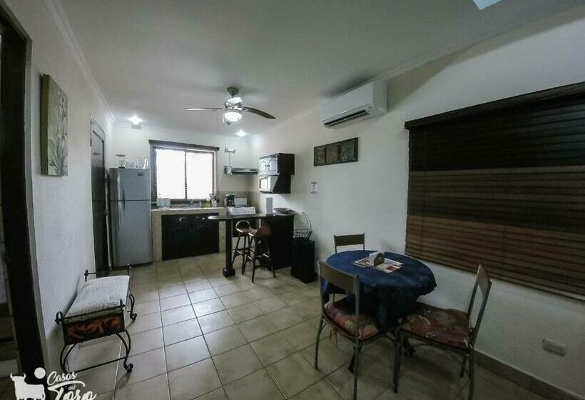 스탠다드 스튜디오, Casas Del Toro Playa Flamingo