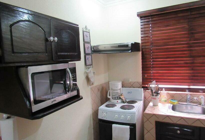 스탠다드 스튜디오, Casas Del Toro Playa Flamingo