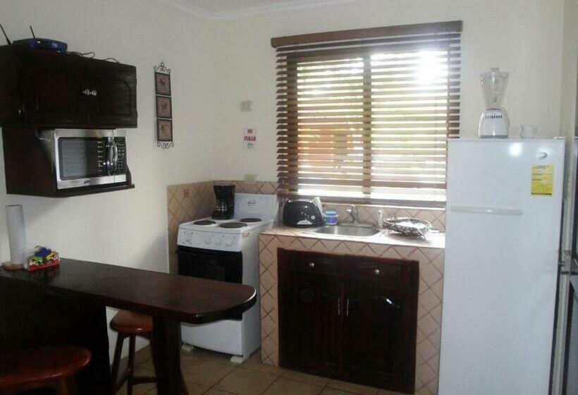 스탠다드 스튜디오, Casas Del Toro Playa Flamingo