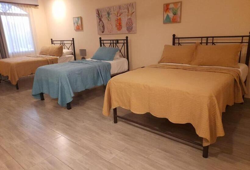 스탠다드 룸, Casas Del Toro Playa Flamingo