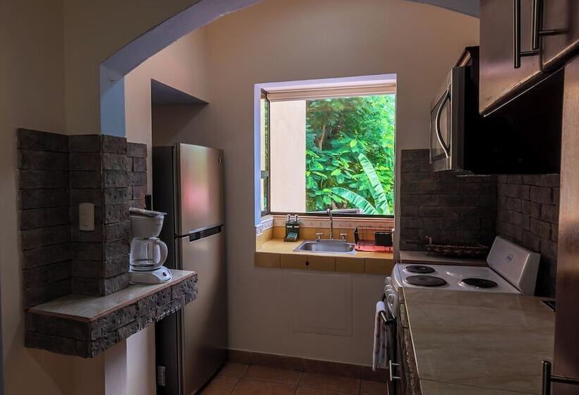 침실 1개 아파트, Casas Del Toro Playa Flamingo