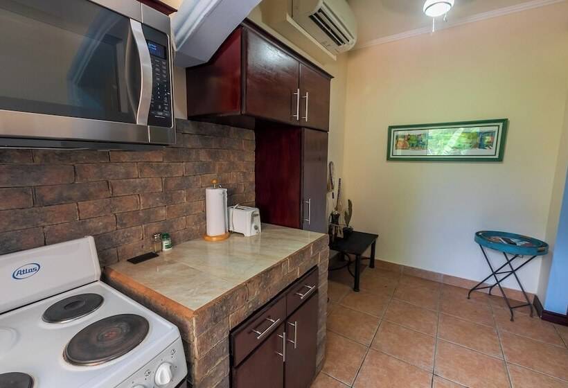 침실 1개 아파트, Casas Del Toro Playa Flamingo