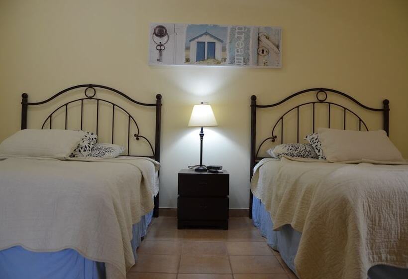 스탠다드 스튜디오, Casas Del Toro Playa Flamingo