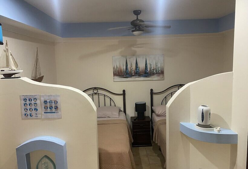 스탠다드 스튜디오, Casas Del Toro Playa Flamingo