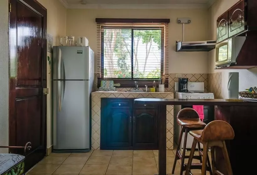 スタンダードスタジオ, Casas Del Toro Playa Flamingo