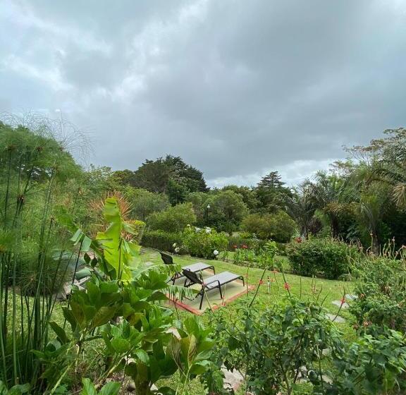 침실 1개 아파트, Casas Del Toro Playa Flamingo